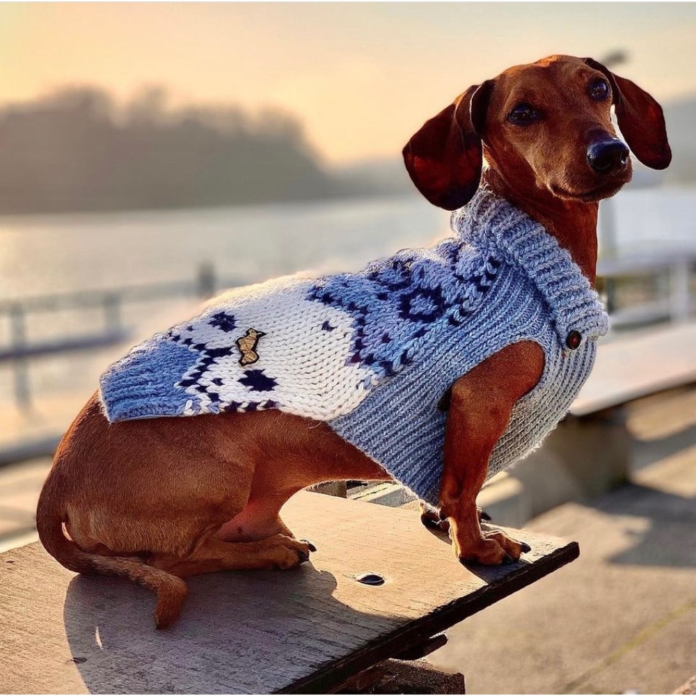 COURMAYEUR by POLDO DOG COUTURE Alpaca and Wool Sweater - Blue and White
